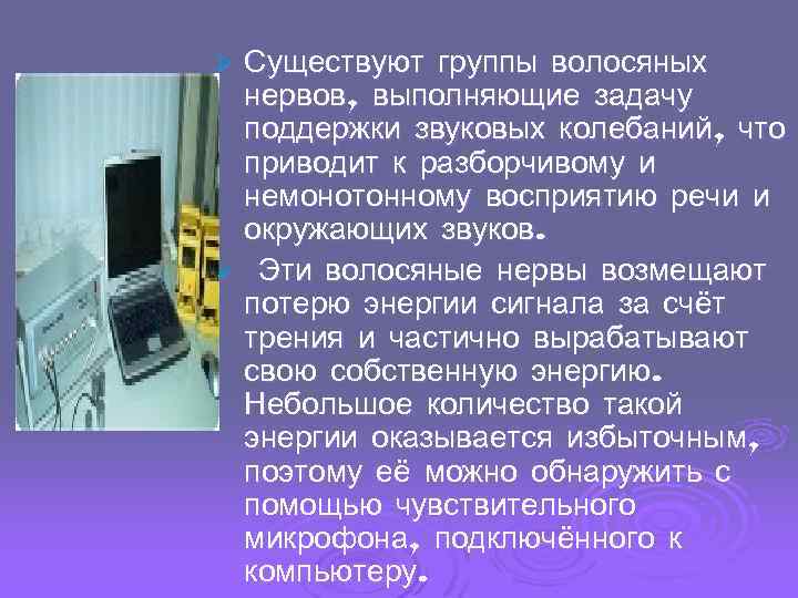 Существуют группы волосяных нервов, выполняющие задачу поддержки звуковых колебаний, что приводит к разборчивому и