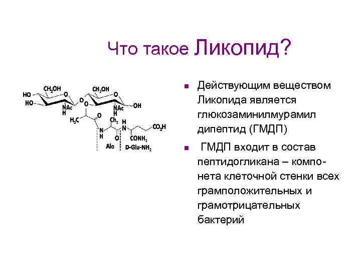 Что такое Ликопид? n n Действующим веществом Ликопида является глюкозаминилмурамил дипептид (ГМДП) ГМДП входит