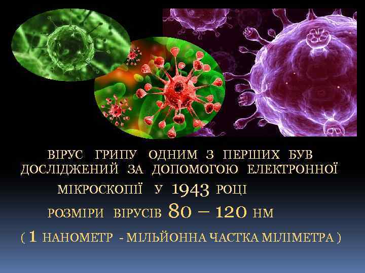  ВІРУС ГРИПУ ОДНИМ З ПЕРШИХ БУВ ДОСЛІДЖЕНИЙ ЗА ДОПОМОГОЮ ЕЛЕКТРОННОЇ МІКРОСКОПІЇ У 1943