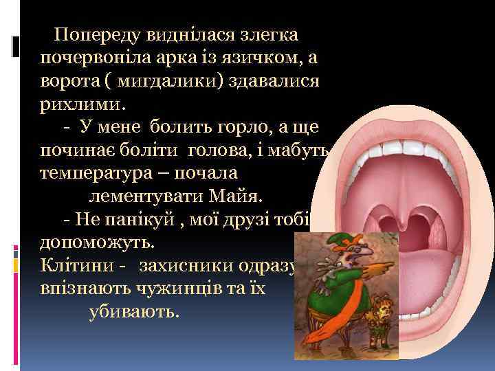  Попереду виднілася злегка почервоніла арка із язичком, а ворота ( мигдалики) здавалися рихлими.