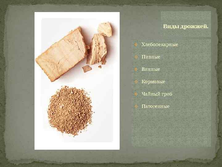 Виды дрожжей. v Хлебопекарные v Пивные v Винные v Кормовые v Чайный гриб v