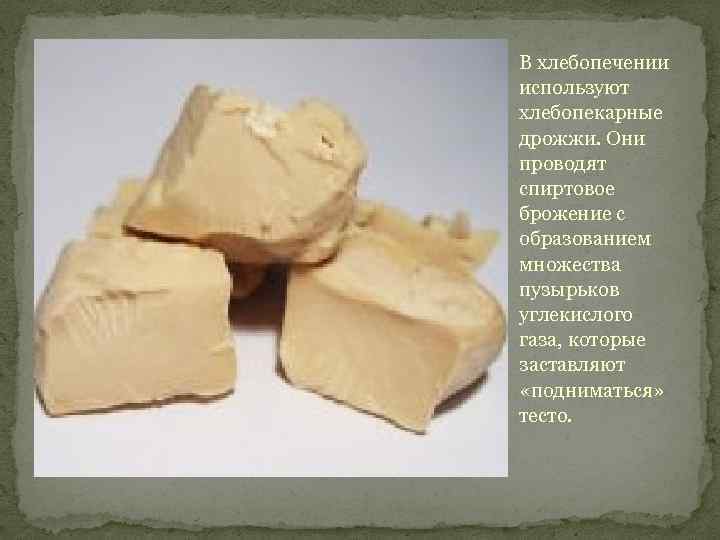 В хлебопечении используют хлебопекарные дрожжи. Они проводят спиртовое брожение с образованием множества пузырьков углекислого