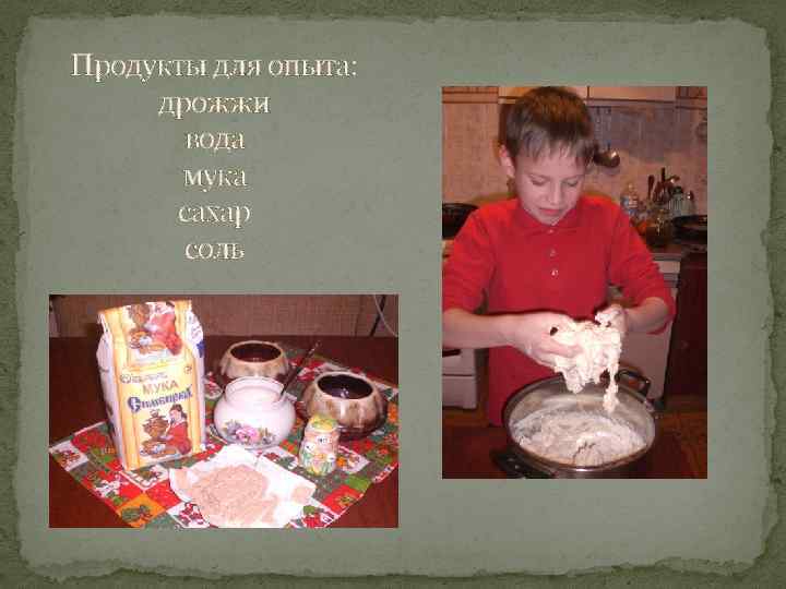 Продукты для опыта: дрожжи вода мука сахар соль 