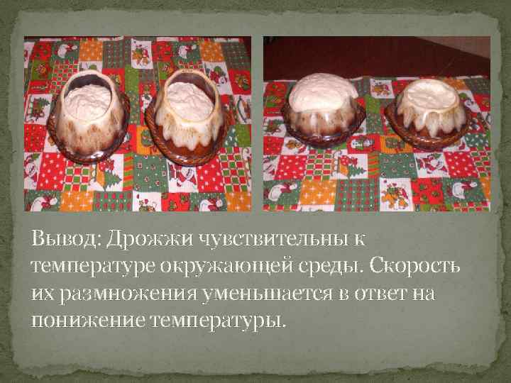 Вывод: Дрожжи чувствительны к температуре окружающей среды. Скорость их размножения уменьшается в ответ на