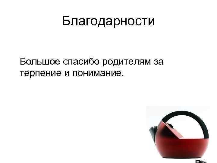 Благодарности Большое спасибо родителям за терпение и понимание. 