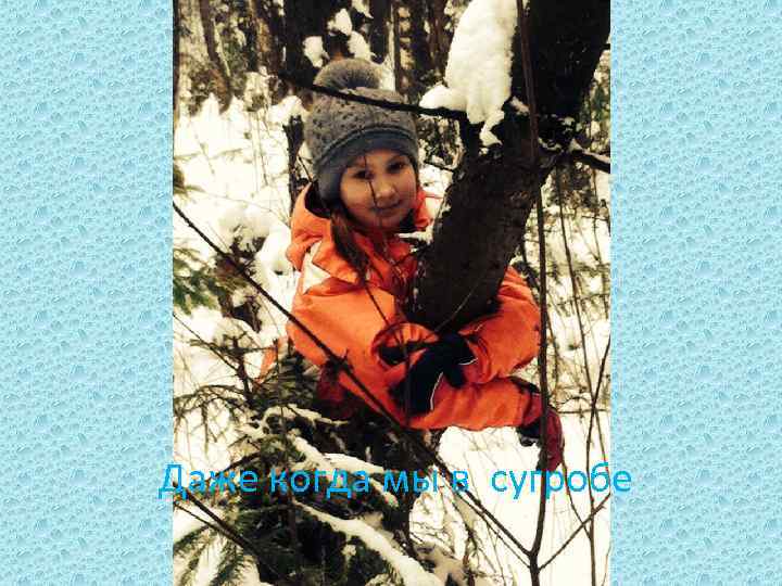 Даже когда мы в сугробе 