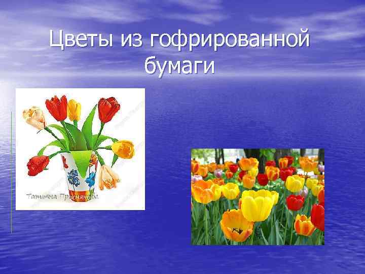 Цветы из гофрированной бумаги 