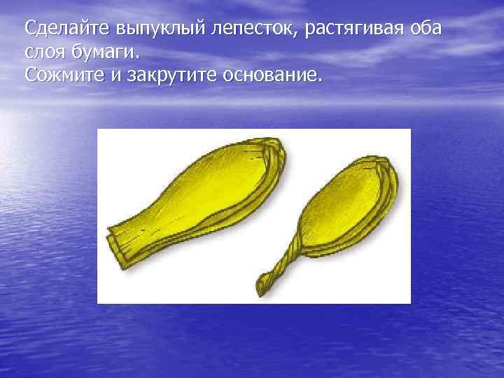 Сделайте выпуклый лепесток, растягивая оба слоя бумаги. Сожмите и закрутите основание. 