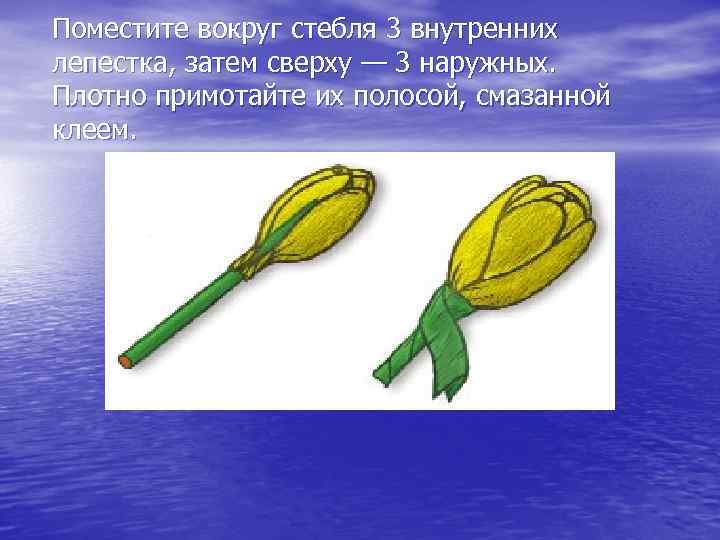 Поместите вокруг стебля 3 внутренних лепестка, затем сверху — 3 наружных. Плотно примотайте их