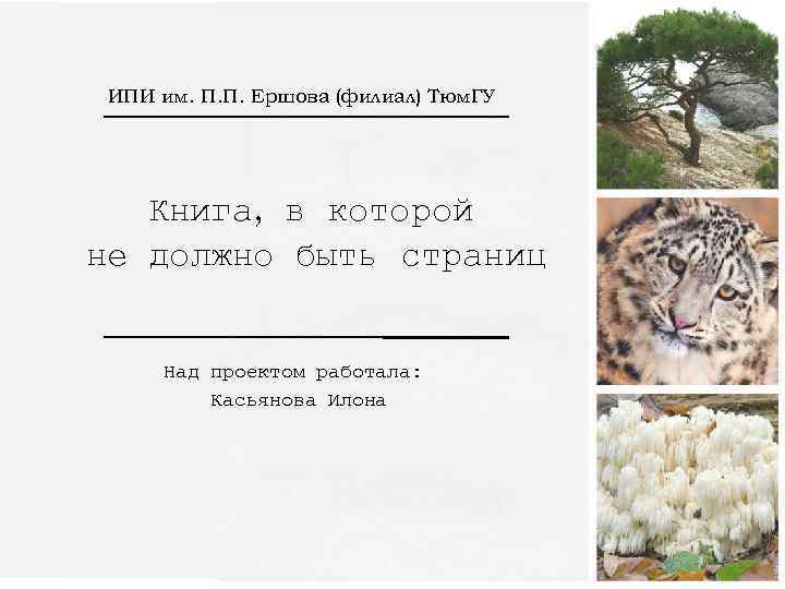 ИПИ им. П. П. Ершова (филиал) Тюм. ГУ Книга, в которой не должно быть