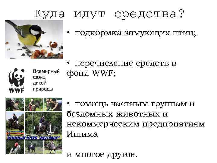 Куда идут средства? • подкормка зимующих птиц; • перечисление средств в фонд WWF; •