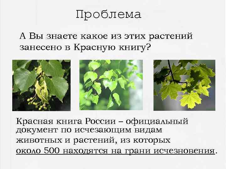 Проблема А Вы знаете какое из этих растений занесено в Красную книгу? Красная книга