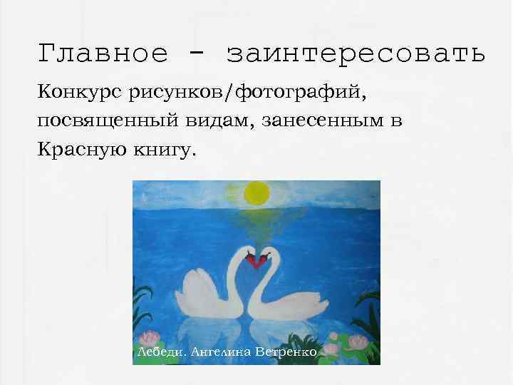 Главное - заинтересовать Конкурс рисунков/фотографий, посвященный видам, занесенным в Красную книгу. Лебеди. Ангелина Ветренко