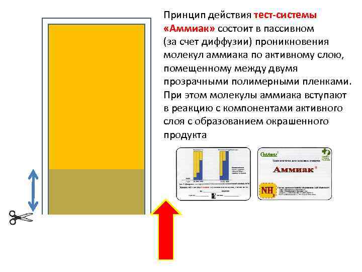 Принцип действия тест-системы «Аммиак» состоит в пассивном (за счет диффузии) проникновения молекул аммиака по