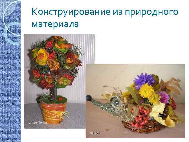 Конструирование из природного материала 