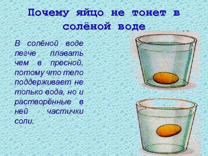 Почему яйцо не тонет в солёной воде В солёной воде легче плавать чем в