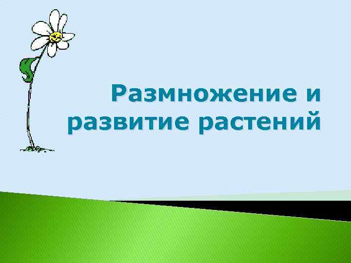 Размножение и развитие растений 