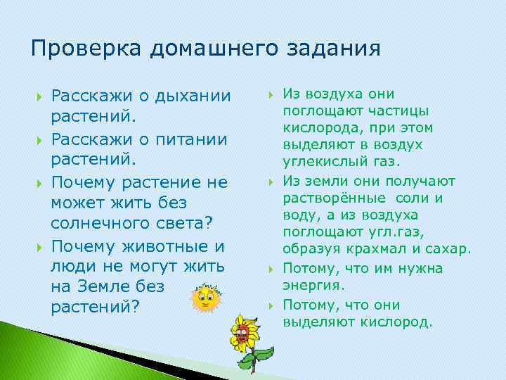 Проверка домашнего задания Расскажи о дыхании растений. Расскажи о питании растений. Почему растение не