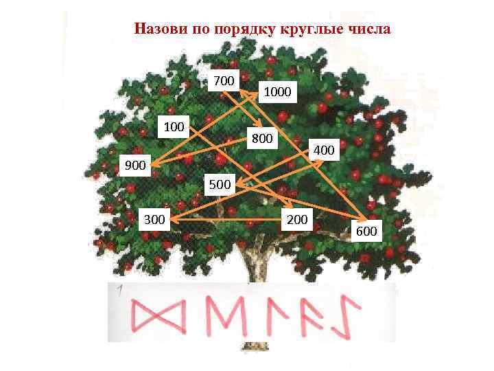 Назови по порядку круглые числа 700 1000 800 400 900 500 300 200 600