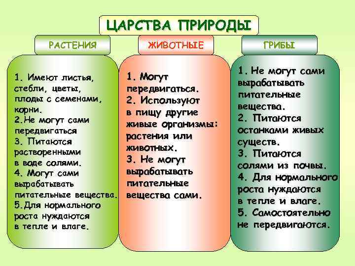 ЦАРСТВА ПРИРОДЫ РАСТЕНИЯ 1. Имеют листья, с т еб л и , ц в