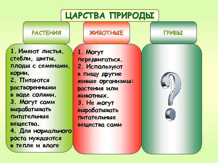 ЦАРСТВА ПРИРОДЫ РАСТЕНИЯ 1. Имеют листья, стебли, цветы, плоды с семенами, корни. 2. Питаются