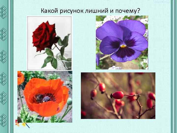 Какой рисунок лишний и почему? 