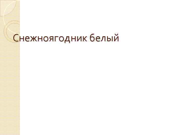 Снежноягодник белый 