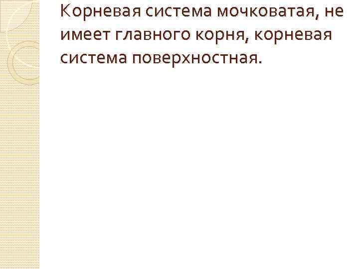 Корневая система мочковатая, не имеет главного корня, корневая система поверхностная. 