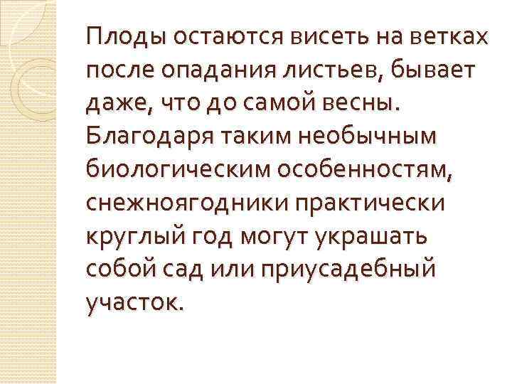Плоды остаются висеть на ветках после опадания листьев, бывает даже, что до самой весны.