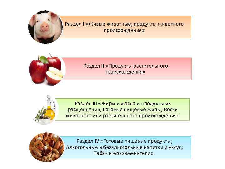 Примеры растительного и животного происхождения