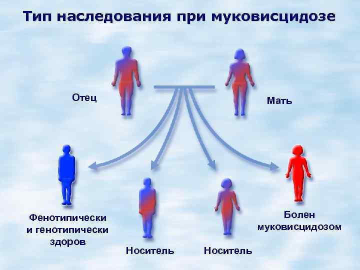 Тип наследования при муковисцидозе Отец Фенотипически и генотипически здоров Мать Болен муковисцидозом Носитель 