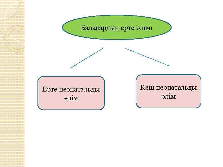 Балалардың ерте өлімі Ерте неонатальды өлім Кеш неонатальды өлім 
