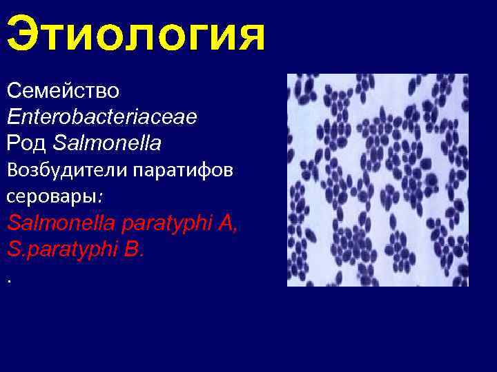 Этиология Семейство Enterobacteriaceae Род Salmonella Возбудители паратифов серовары: Salmonella paratyphi A, S. paratyphi B.