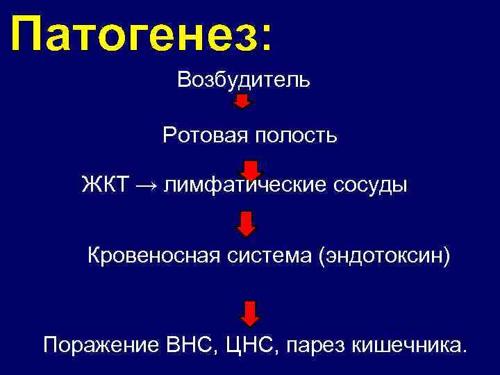 Патогенез: Возбудитель Ротовая полость ЖКТ → лимфатические сосуды Кровеносная система (эндотоксин) Поражение ВНС, ЦНС,