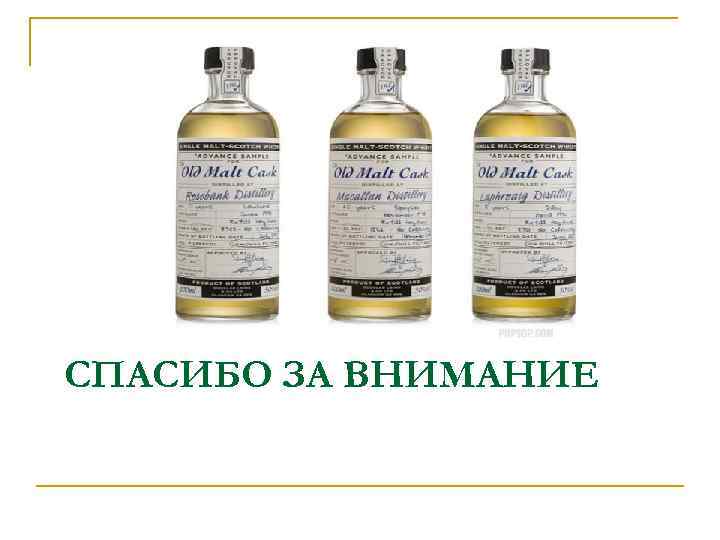 СПАСИБО ЗА ВНИМАНИЕ 