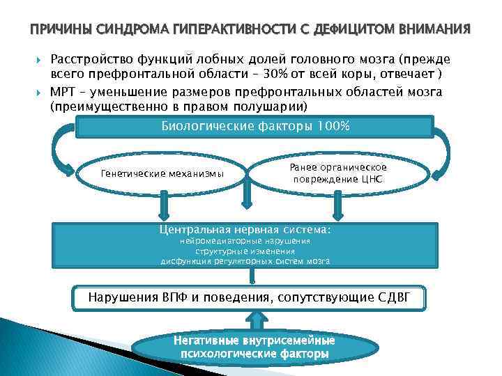 ПРИЧИНЫ СИНДРОМА ГИПЕРАКТИВНОСТИ С ДЕФИЦИТОМ ВНИМАНИЯ Расстройство функций лобных долей головного мозга (прежде всего