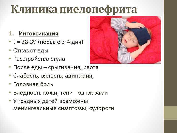 Клиника пиелонефрита 1. Интоксикация • t = 38 -39 (первые 3 -4 дня) •