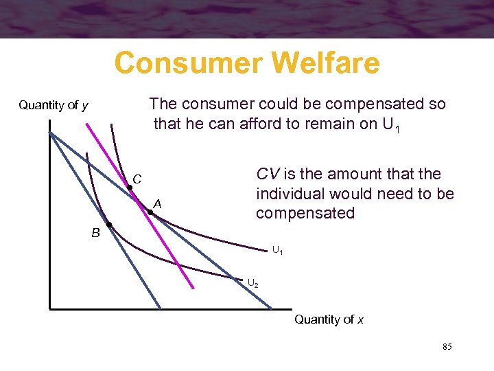 Consumer Welfare The consumer could be compensated so that he can afford to remain