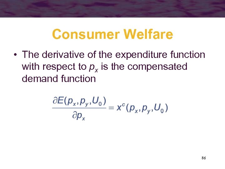 Consumer Welfare • The derivative of the expenditure function with respect to px is