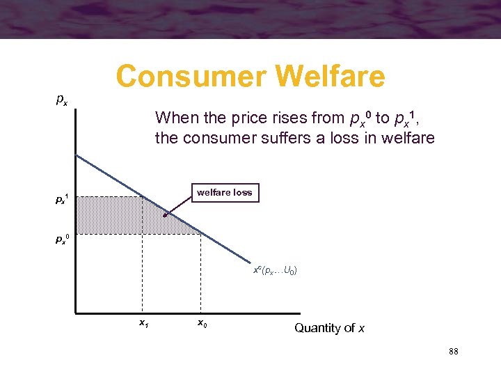 px Consumer Welfare When the price rises from px 0 to px 1, the
