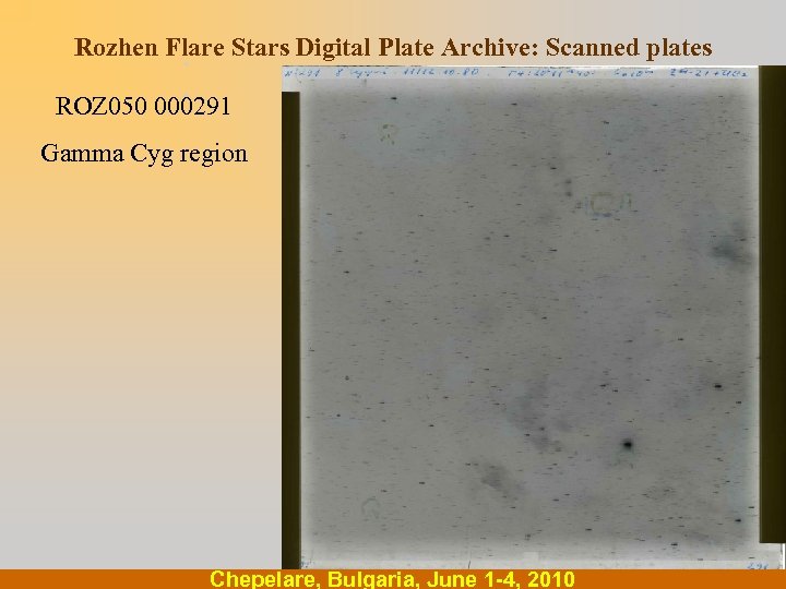 Rozhen Flare Stars Digital Plate Archive: Scanned plates. . ROZ 050 000291 Gamma Cyg