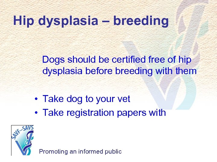 Hip dysplasia – breeding Dogs should be certified free of hip dysplasia before breeding