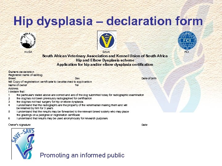 Hip dysplasia – declaration form KUSA SAVA FCI South African Veterinary Association and Kennel