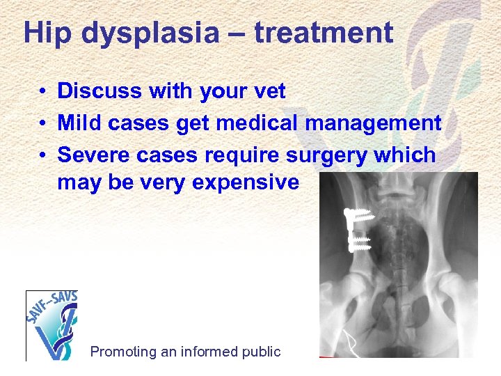 Hip dysplasia – treatment • Discuss with your vet • Mild cases get medical