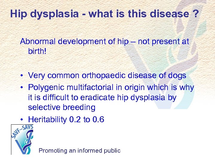 Hip dysplasia - what is this disease ? Abnormal development of hip – not