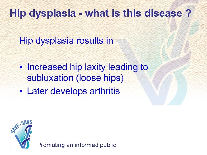 Hip dysplasia - what is this disease ? Hip dysplasia results in • Increased