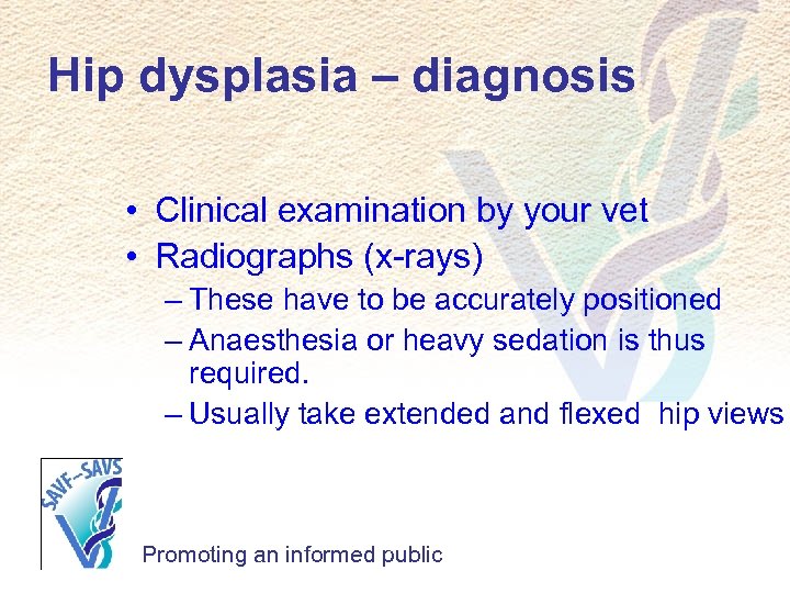 Hip dysplasia – diagnosis • Clinical examination by your vet • Radiographs (x-rays) –