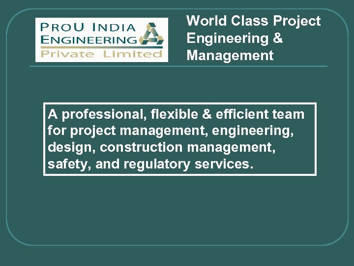 World Class Project Engineering & Management A professional, flexible & efficient team for project