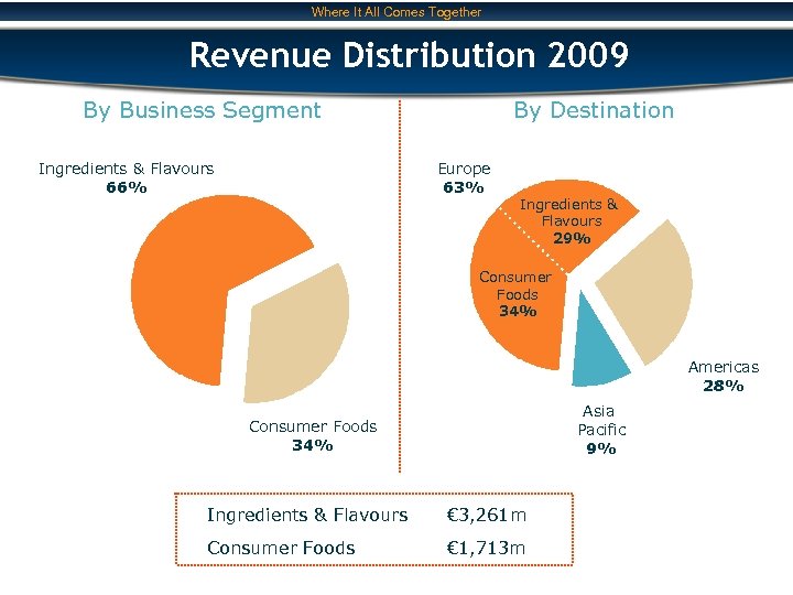 Where It All Comes Together Revenue Distribution 2009 By Business Segment Ingredients & Flavours