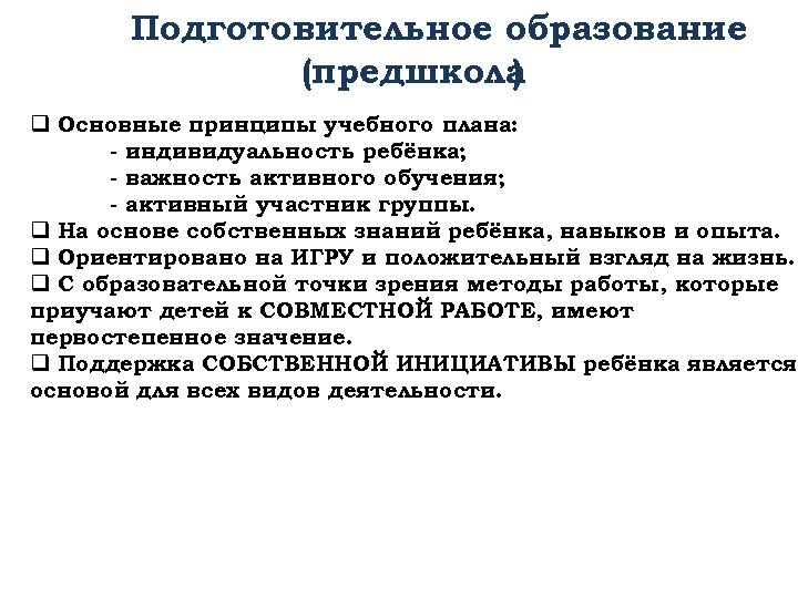 Подготовительное образование (предшкола ) q Основные принципы учебного плана: - индивидуальность ребёнка; - важность